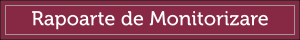 Rapoarte de Monitorizare