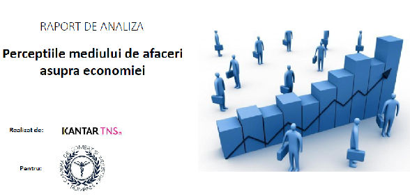 Studiu privind Percepţiile mediului de afaceri asupra economiei 2017